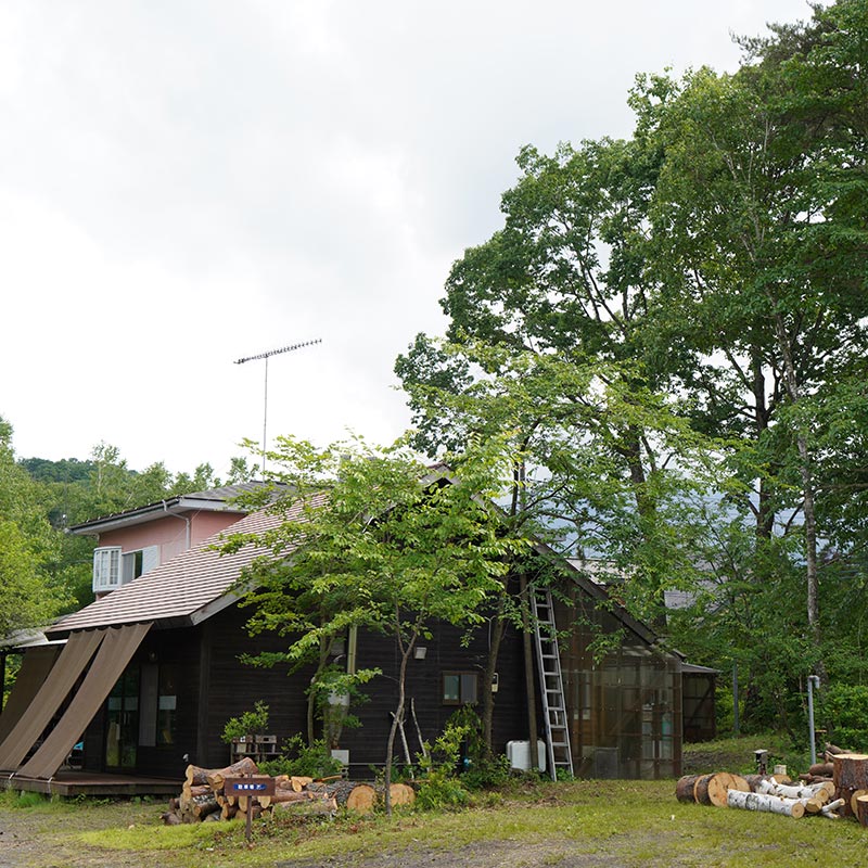 ツリーケア・特殊伐採