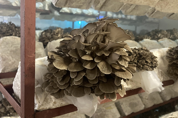 薪火食堂
